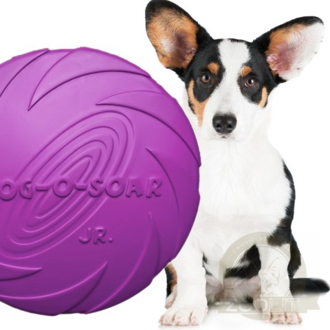 Pet Nova zabawka - dysk gumowy frisbee fioletowy 22cm Pet Nova zabawka - dysk gumowy frisbee fioletowy 22cm