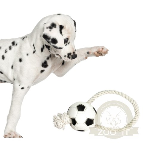 Pet Nova zabawka gumowa - piłka futbolowa na sznurku 26cm Pet Nova zabawka gumowa - piłka futbolowa na sznurku 26cm