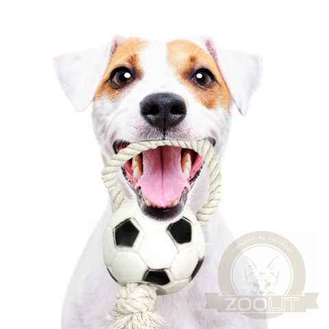 Pet Nova zabawka gumowa - piłka futbolowa na sznurku 26cm Pet Nova zabawka gumowa - piłka futbolowa na sznurku 26cm