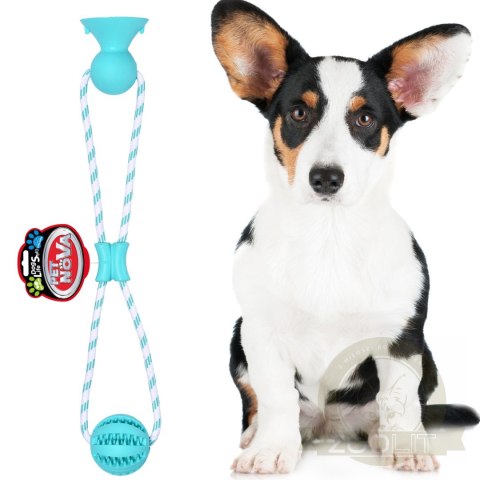 Pet Nova zabawka - piłka dental z przyssawką miętowa 7cm Pet Nova zabawka - piłka dental z przyssawką miętowa 7cm