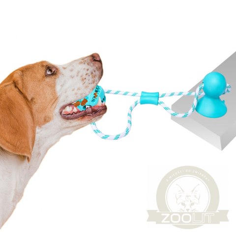 Pet Nova zabawka - piłka dental z przyssawką miętowa 7cm Pet Nova zabawka - piłka dental z przyssawką miętowa 7cm