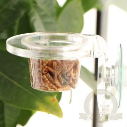 Terrario Gecko Bar Dish - miseczka zapasowa 30ml