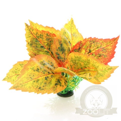 Bello Plant - Golden Polish Autumn Birch- roślina M do obrazów 3D Bello Plant - Golden Polish Autumn Birch- roślina M do obrazów 3D