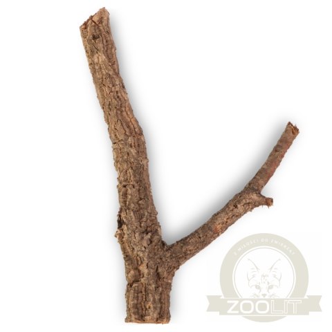 Drzewko z Dębu korkowego 60cm Drzewko z Dębu korkowego 60cm
