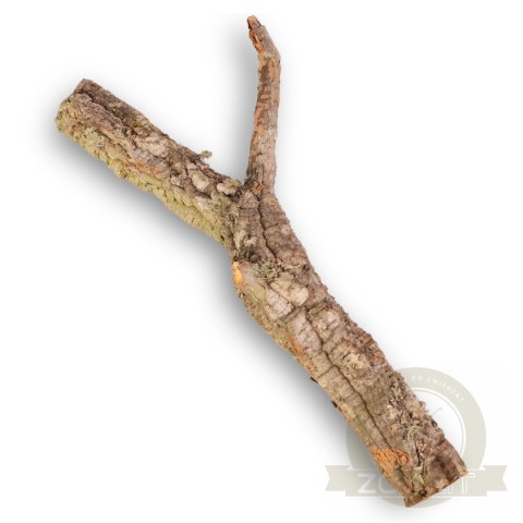 Drzewko z Dębu korkowego 60cm Drzewko z Dębu korkowego 60cm