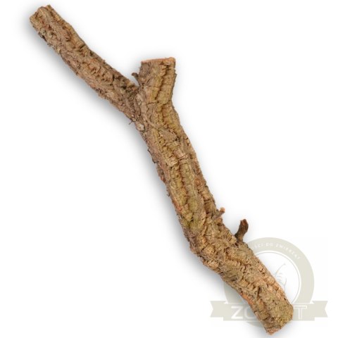 Drzewko z Dębu korkowego 60cm Drzewko z Dębu korkowego 60cm