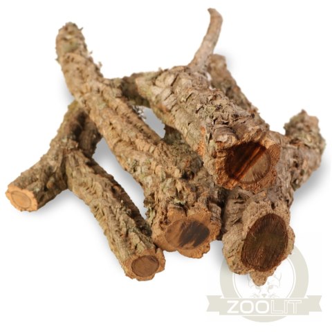 Drzewko z Dębu korkowego 60cm Drzewko z Dębu korkowego 60cm