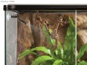 EXO TERRA Monsoon Multi - zraszacz automatyczny 8l