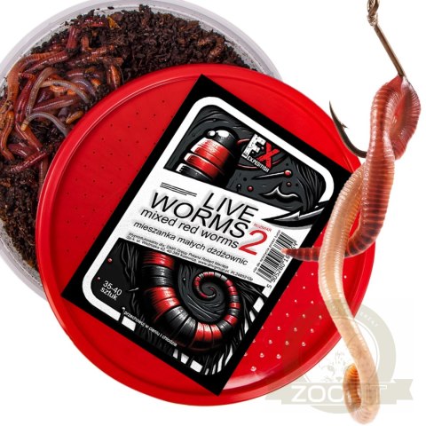 Fishing Expedition Live Worms No.2 - żywe czerwone robaki rozmiar 2 Fishing Expedition Live Worms No.2 - żywe czerwone robaki rozmiar 2