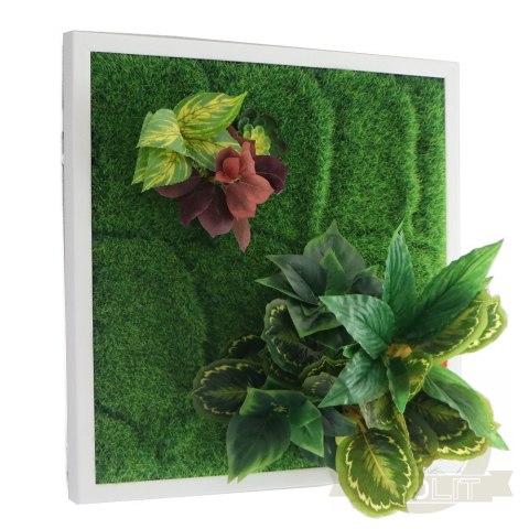 Garden Point - Bello Holder - uchwyty 10 sztuk Garden Point - Bello Holder - uchwyty 10 sztuk