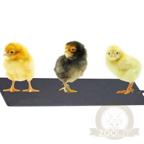 Terrario Repti-Pad PVC 30W - wodoodporna mata grzewcza Terrario Repti-Pad PVC 30W - wodoodporna mata grzewcza