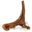 Philippines Classic Driftwood - drzewo mangrowca z wody M 25cm - 30cm