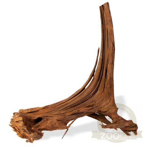 Philippines Classic Driftwood - drzewo mangrowca z wody M 25cm - 30cm Philippines Classic Driftwood - drzewo mangrowca z wody M 25cm - 30cm