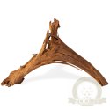 Philippines Classic Driftwood - drzewo mangrowca z wody M 25cm - 30cm