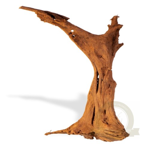 Philippines Classic Driftwood - drzewo mangrowca z wody M 25cm - 30cm Philippines Classic Driftwood - drzewo mangrowca z wody M 25cm - 30cm