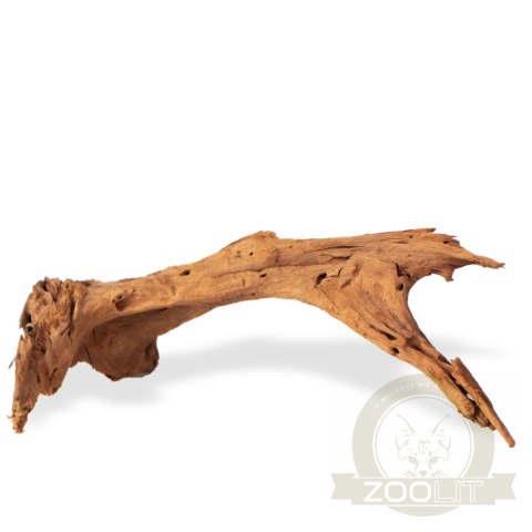 Philippines Classic Driftwood - drzewo mangrowca z wody M 25cm - 30cm Philippines Classic Driftwood - drzewo mangrowca z wody M 25cm - 30cm