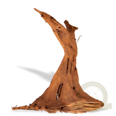 Philippines Classic Driftwood - drzewo mangrowca z wody M 25cm - 30cm Philippines Classic Driftwood - drzewo mangrowca z wody M 25cm - 30cm