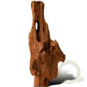 Philippines Classic Driftwood - drzewo mangrowca z wody XXS ok.10cm