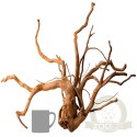 Shizen Essence J-roots L - duże korzenie japońskie Mizube i Ryuboku