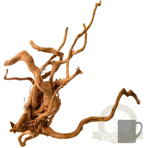 Shizen Essence J-roots L - duże korzenie japońskie Mizube i Ryuboku Shizen Essence J-roots L - duże korzenie japońskie Mizube i Ryuboku