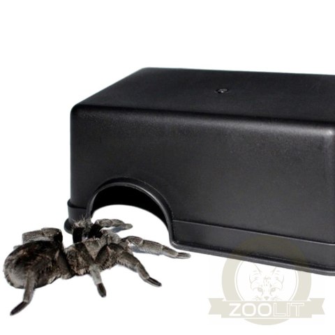 Terrario CubeCave - jaskinia miska na wodę i pokarm 17x12x7cm Terrario CubeCave - jaskinia miska na wodę i pokarm 17x12x7cm