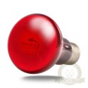 Terrario Nangola Red Night Light - żarówka podczerwona 50W