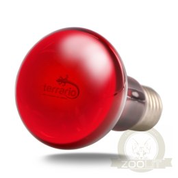 Terrario Nangola Red Night Light - żarówka podczerwona 50W