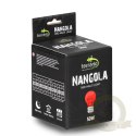 Terrario Nangola Red Night Light - żarówka podczerwona 50W
