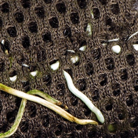 Wacool Rainforest Plant Cotton 440x440m - hydrolon Wacool Rainforest Plant Cotton 440x440m - hydrolon