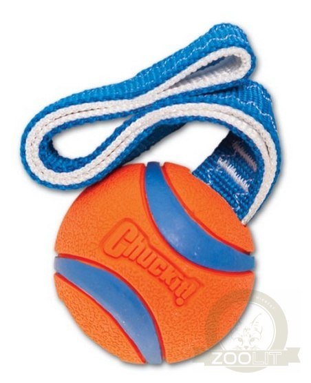 Chuckit! Ultra Tug Small [231101]