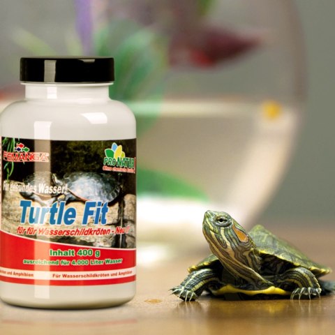 Femanga Turtle Fit - preparat na niedobory witamin i minerałów 400g Femanga Turtle Fit - preparat na niedobory witamin i minerałów 400g