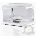 SunSun Nature Complete Turtle's - Akwa-Terrarium dla żółwia 37l