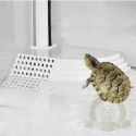 SunSun Nature Complete Turtle's - Akwa-Terrarium dla żółwia 37l