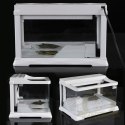 SunSun Nature Complete Turtle's - Akwa-Terrarium dla żółwia 37l