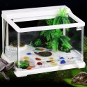 SunSun Nature Complete Turtle's - Akwa-Terrarium dla żółwia 37l