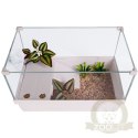 Sunsun Turtle Water Box L - akwarium dla żółwia z wyspą i filtrem