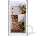 Sunsun Turtle Water Box L - akwarium dla żółwia z wyspą i filtrem