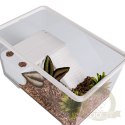 Sunsun Turtle Water Box M - akwarium dla żółwia z wyspą i filtrem