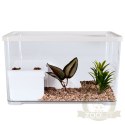 Sunsun Turtle Water Box M - akwarium dla żółwia z wyspą i filtrem