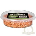 Terrario Repti Bites Gammarus 125ml - kiełż zdrojowy suszony