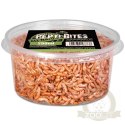 Terrario Repti Bites Gammarus 250ml - kiełż zdrojowy suszony