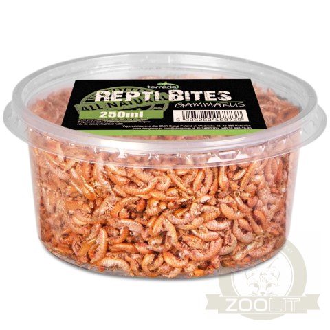 Terrario Repti Bites Gammarus 250ml - kiełż zdrojowy suszony