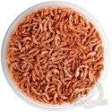 Terrario Repti Bites Gammarus 250ml - kiełż zdrojowy suszony