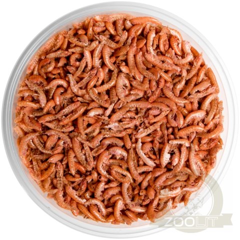 Terrario Repti Bites Gammarus 250ml - kiełż zdrojowy suszony Terrario Repti Bites Gammarus 250ml - kiełż zdrojowy suszony