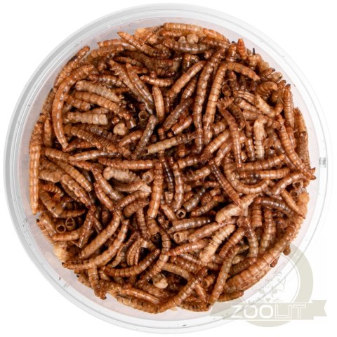 Terrario Repti Bites Mealworms 250ml - larwy mącznika suszone Terrario Repti Bites Mealworms 250ml - larwy mącznika suszone