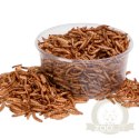 Terrario Repti Bites Mealworms 250ml - larwy mącznika suszone