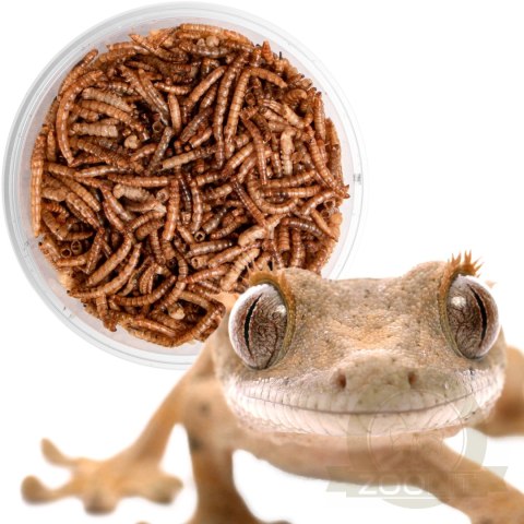 Terrario Repti Bites Mealworms 250ml - larwy mącznika suszone Terrario Repti Bites Mealworms 250ml - larwy mącznika suszone