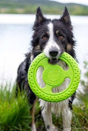 Kiwi Walker Let's Play Frisbee Mini różowe Kiwi Walker Let's Play Frisbee Mini różowe