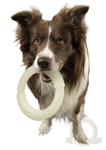 Kiwi Walker Let's Play Glow Ring Maxi Kiwi Walker Let's Play Glow Ring Maxi
