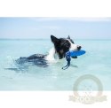 Kiwi Walker Let's Play Zeppelin Maxi aport niebieski